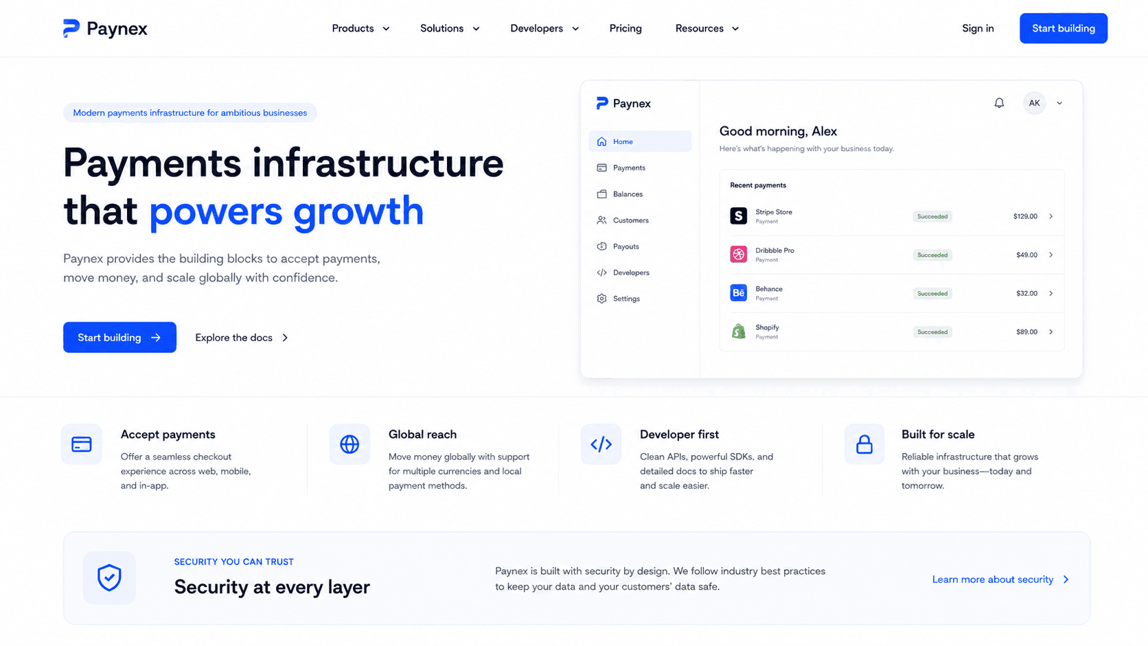 Paynex website design